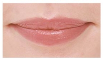 guide_lips6.jpg